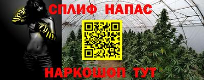 герыч Новокубанск