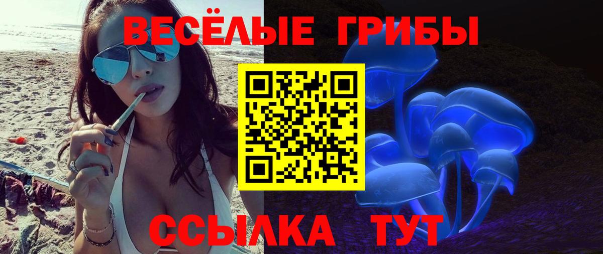 Псилоцибиновые грибы ЛСД  Вход с VPN  Псилоцибиновые грибы Cubensis  наркотики  Серов 